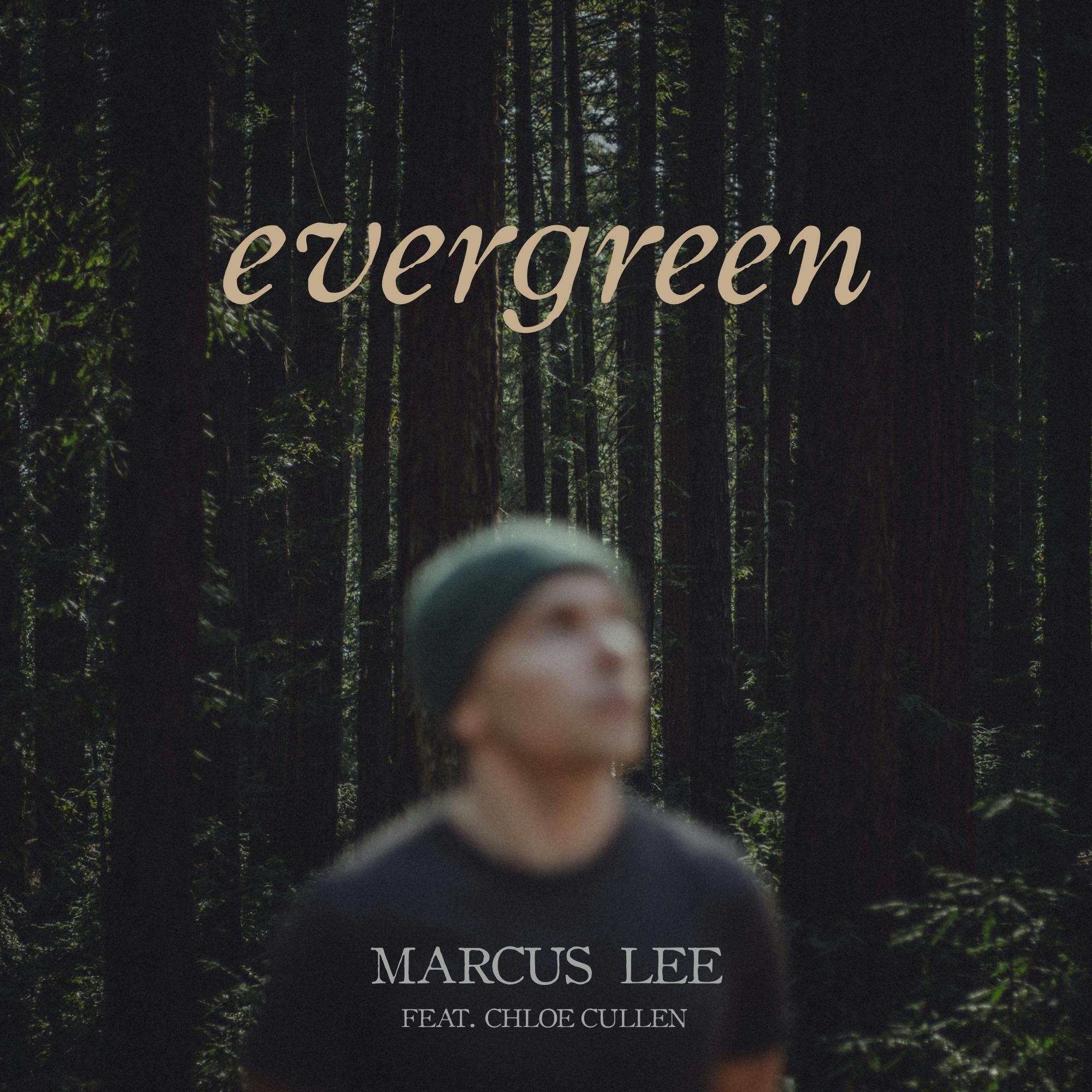 Cover art for Evergreen by Marcus Lee
