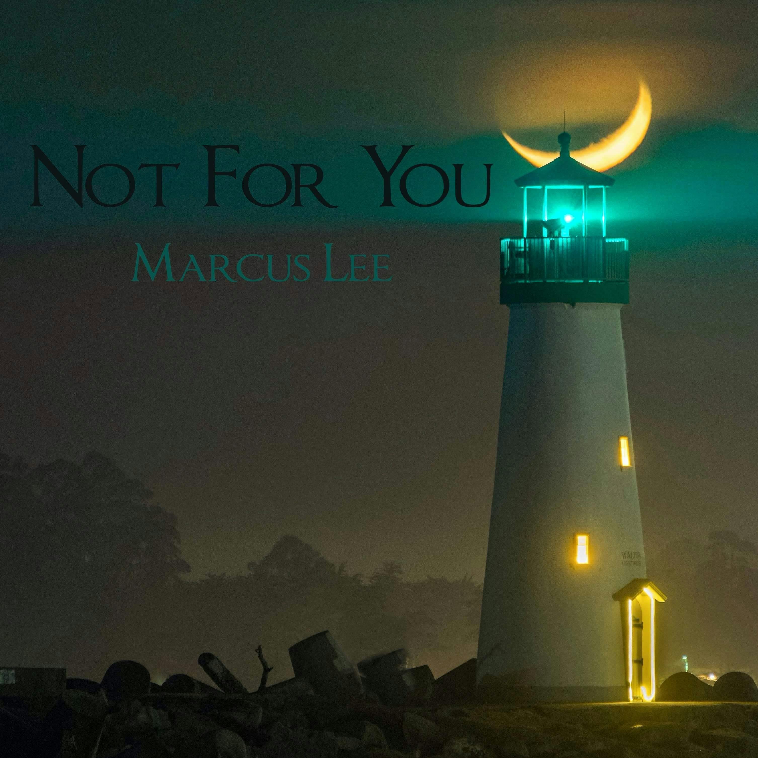 Cover art for Not For You by Marcus Lee