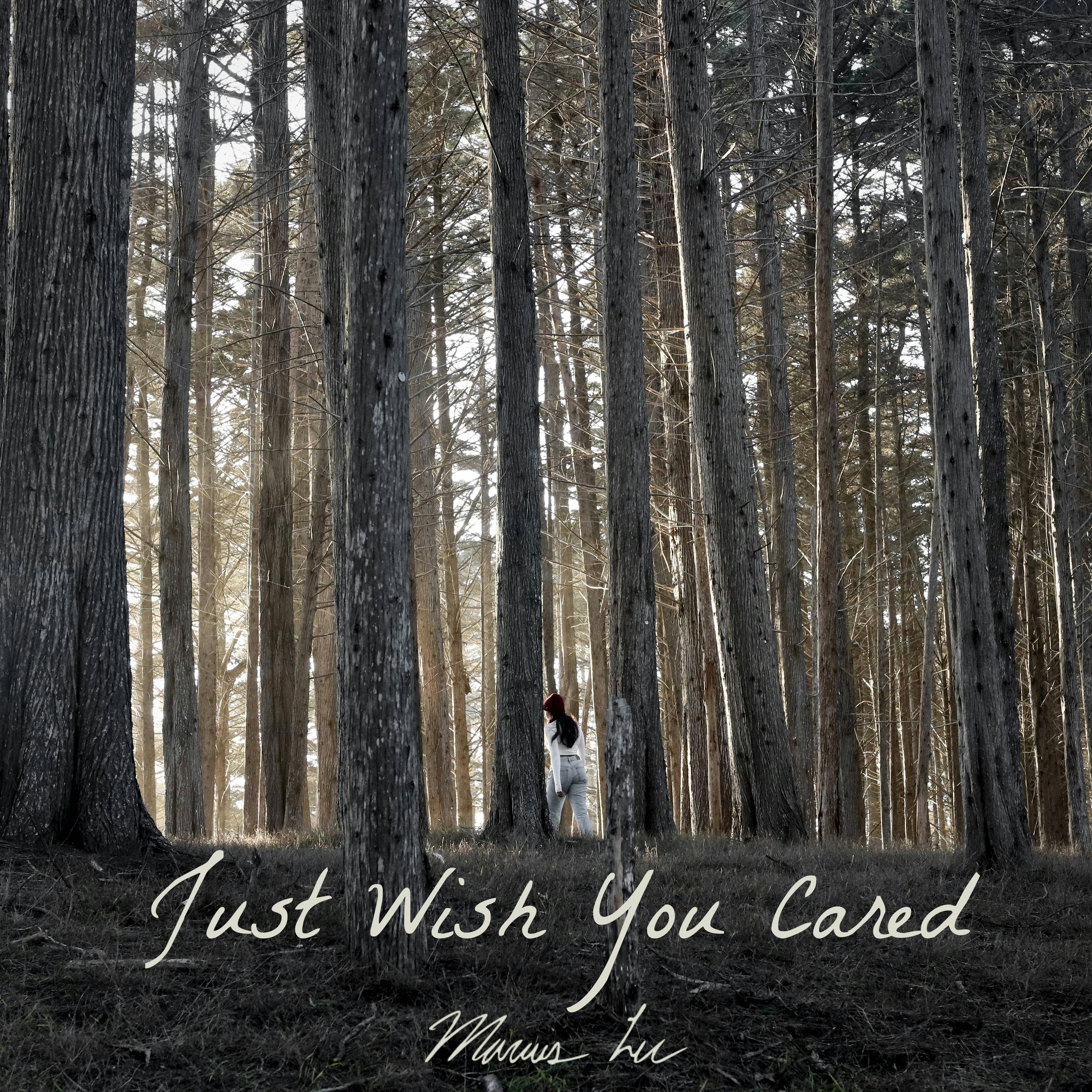 Cover art for Just Wish You Cared by Marcus Lee