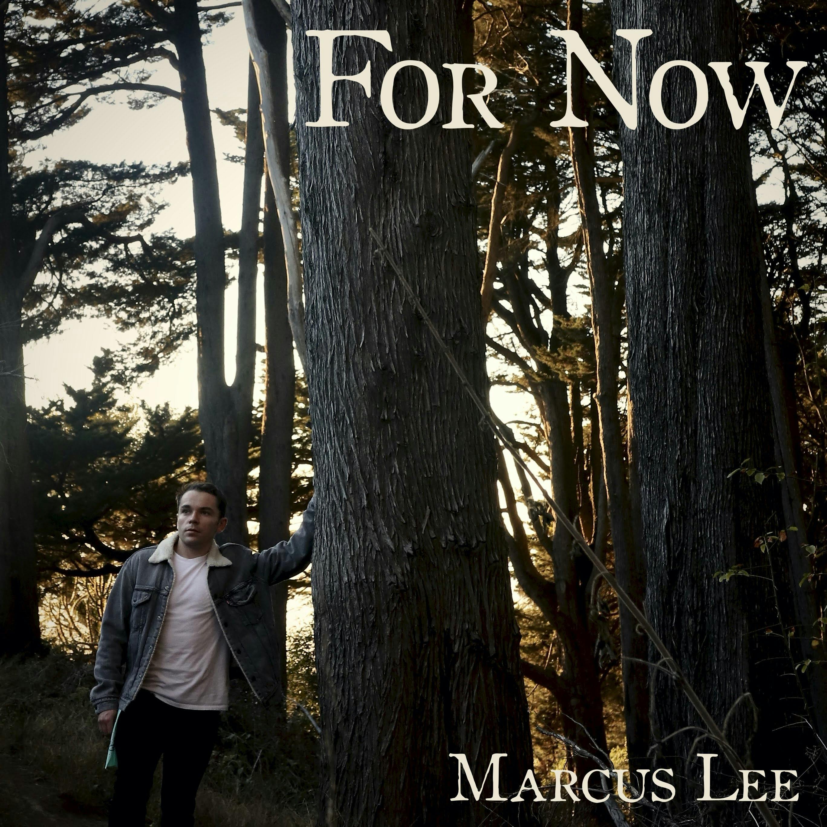 Cover art for For Now by Marcus Lee